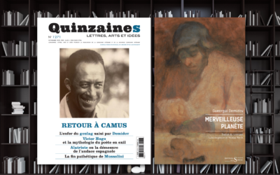 Demidov, l’outrenoir du goulag