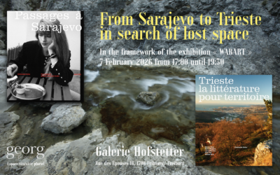 From Sarajevo to Trieste. In Search of lost space